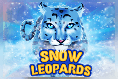 Snowy Leopards slot