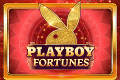 Playboy Fortunes logo