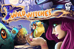 Wild Witches slot
