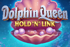 Dolphin Queen Hold N Link slot