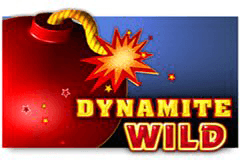 Dynamite Wild slot