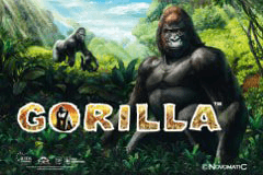 Gorilla slot