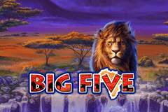 Big Five slot