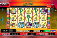 Salsa slot