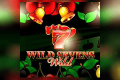 Wild Sevens 1 Line slot