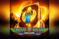 Book of Riches slot