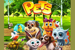 Pets slot