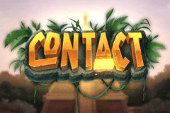 Contact slot