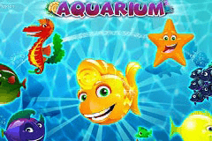 Aquarium slot