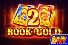 Book of Gold 2 Double Hit slot
