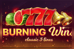 Burning Wins Classic 5 Lines slot