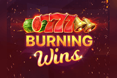 Super Burning Wins slot