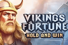 Viking Fortune Hold and Win slot