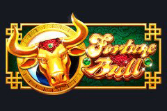 Fortune Bull slot