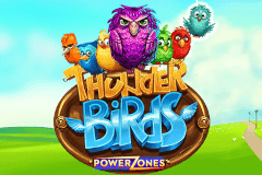 Power Zones: Thunder Birds logo