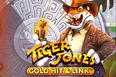 Tiger Jones Gold Hit & Link slot