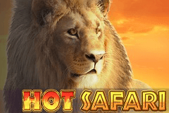 Hot Safari slot
