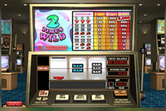 2 Times Wild slot