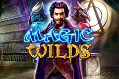 Magic Wilds slot