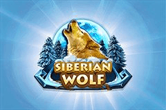 Siberian Wolf logo