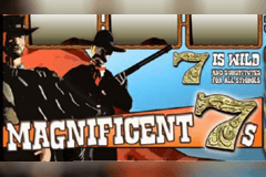 Magnificient 7's slot