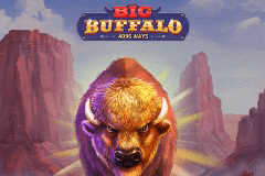 Big Buffalo slot