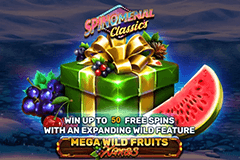 Mega Wild Fruits Xmas slot