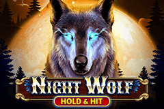 Night Wolf Hold & Hit slot