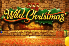 Wild Christmas slot