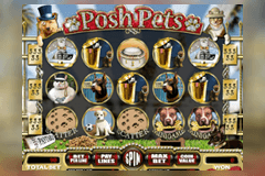 Posh Pets slot