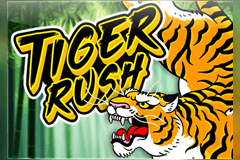 Tiger Rush slot