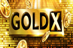 Gold X slot