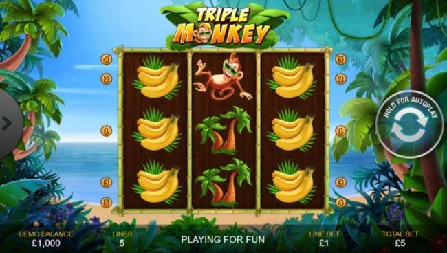 An island monkey themed main game board featuring three reels and 5 paylines with a $1,000 max payout