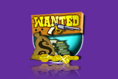 Wanted slot