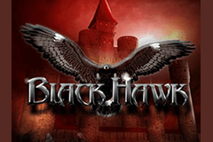 Black Hawk slot