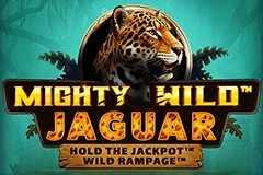 Mighty Wild Jaguar slot