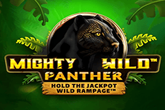 Mighty Wild Panther slot