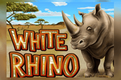 White Rhino slot