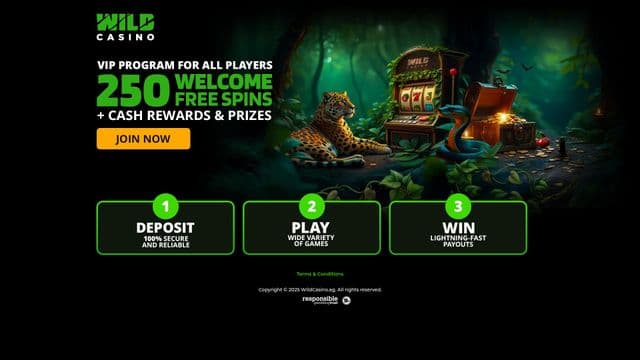 Wild Casino home screen