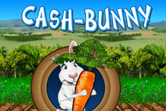Cash-Bunny slot