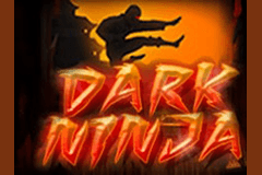 Dark Ninja slot