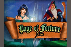 Page of Fortune Deluxe slot